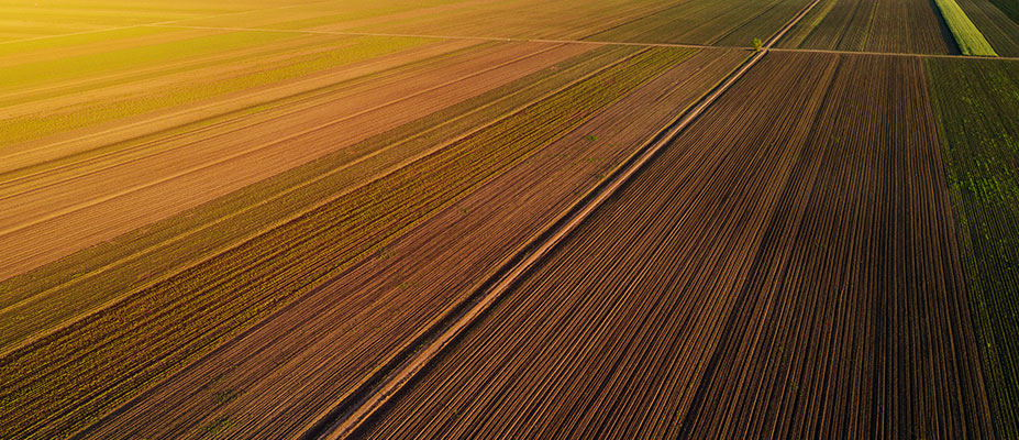 Agricultural Research Federation