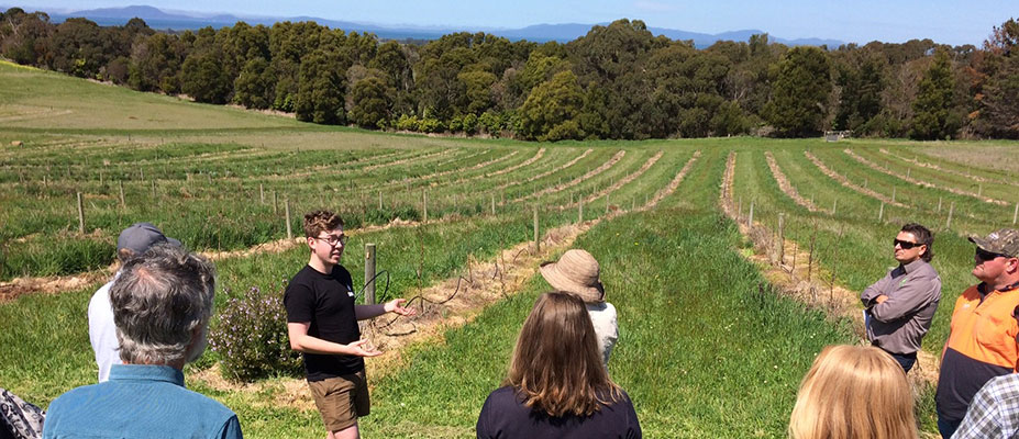 Growing Southern Gippsland