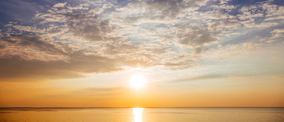 Port Phillip Bay - The Real Value
