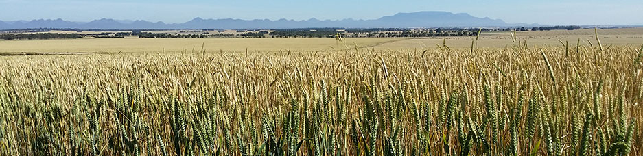 Agriculture banner