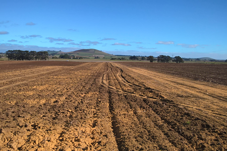 Industry-funded soil science PhD opportunity