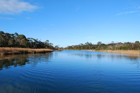 Waterwatch and EstuaryWatch