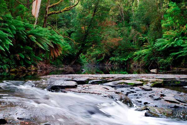 Colac Otway Shire Mapping Portal