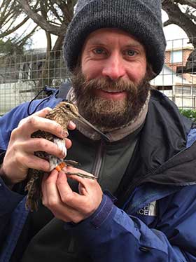 Richard Chamberlain with Latham’s Snipe