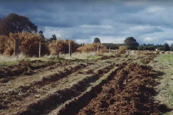 Digital Soil Mapping in Australia