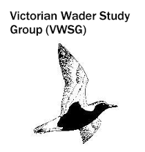 Victorian Wader Study Group