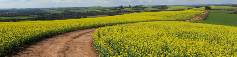 Agriculture banner