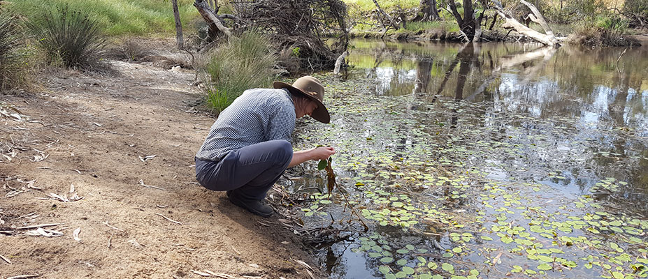 Aquatic Ecology Hub banner