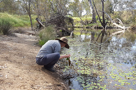 Aquatic Ecology Hub