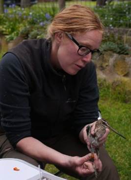 Principal Research Fellow, Environment and NRM: Assoc Prof Birgita Hansen