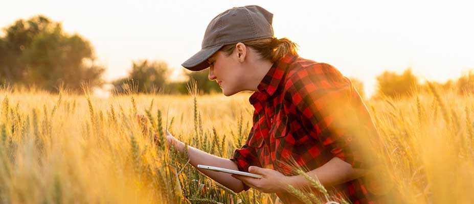 Australian Dataspaces: From Exemplars to an Enduring National Capability - project banner
