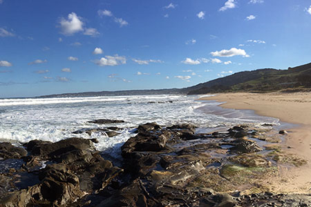 Beach Usage Research