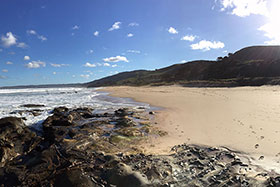 Barwon Coast Beach Project Update