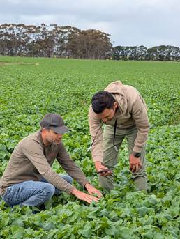 CeRDI HDR student Pramod Gautum showcases the future of digital agriculture