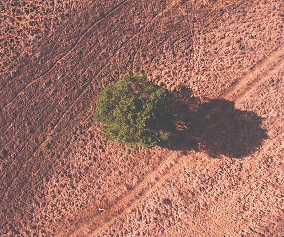 Victorian Drought Resilience Adoption and Innovation Hub - Podcasts