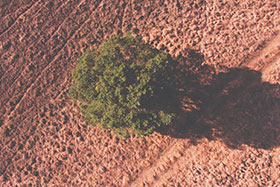 Central Highlands Resilient Agriculture project