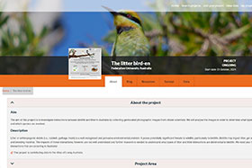 Exploring the impact of litter on bird behaviour and survival