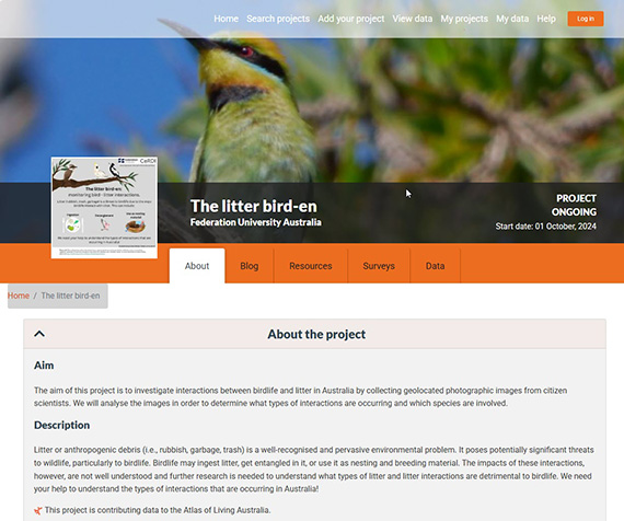 Exploring the impact of litter on bird behaviour and survival