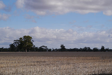 Soil sampling research with Glenelg-Hopkins Catchment Management Authority