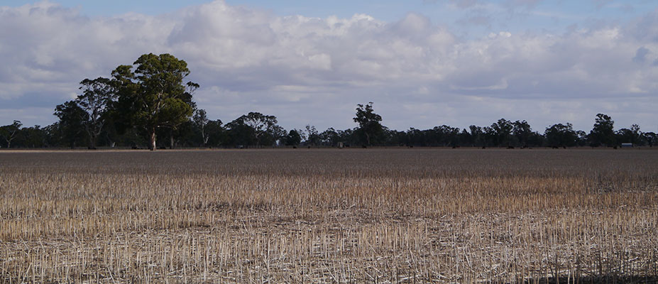 Soil sampling research with Glenelg-Hopkins Catchment Management Authority