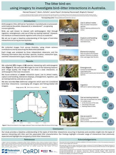 Hannah Faraone&rsquo;s prize winning poster highlights hidden impact of litter on Australian birds