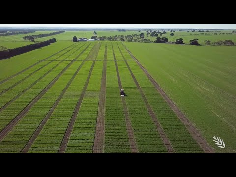 Grower and adviser involvement wanted for the Hyper Yielding Crops initiative
