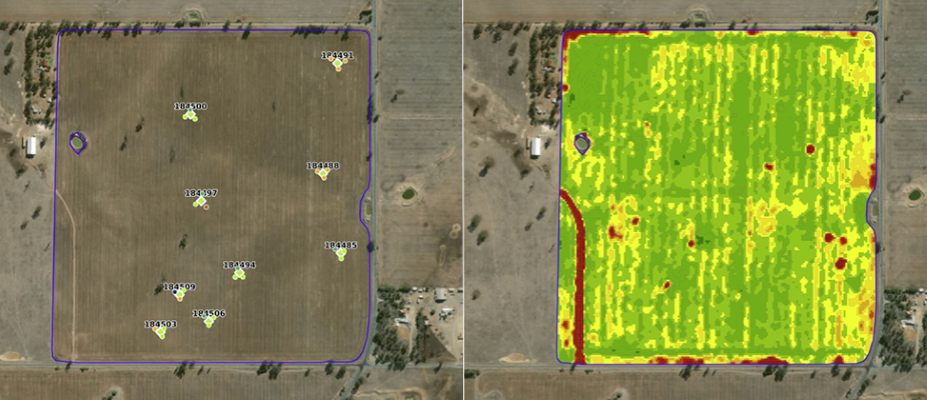 In-Paddock Variability of Plant Available Water