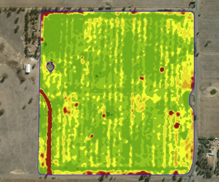 In-Paddock Variability of Plant Available Water