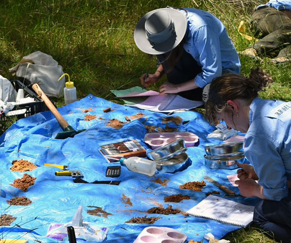National soil judging competition