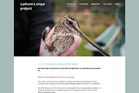 Advancing the conservation of Latham’s Snipe with new habitat management guidelines