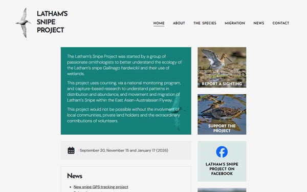 Latham's Snipe Project website