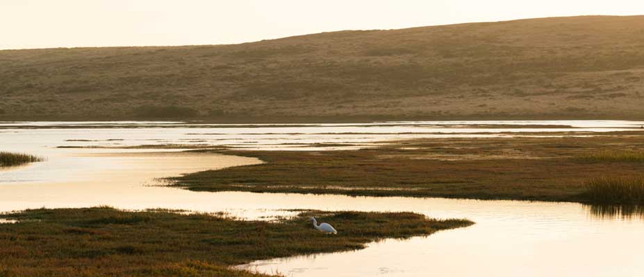 Improving water security for farms and lakes in the northern Lake Corangamite area banner