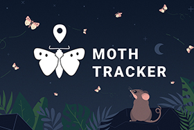 Harnessing citizen science to save the endangered Bogong Moth