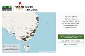 Moth Tracker  app