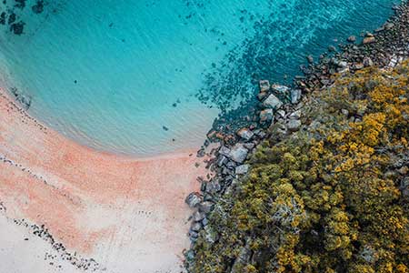 Natural Capital Measurement Catalogue Data Visualisation Platform