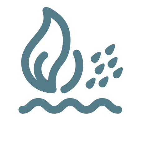 Natural Capital and Environment icon