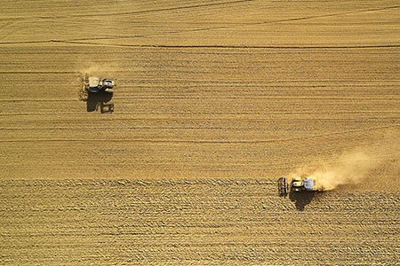 Predicting crop yield within the growing season at sub-paddock scale