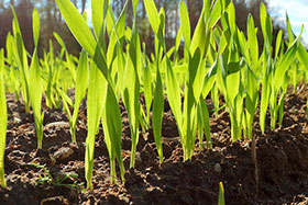 Soil CRC: New appointments