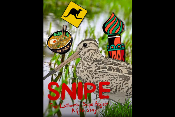 SNIPE - The Latham's Snipe Project