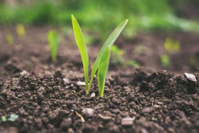 CeRDI seminar explores the future of soil reporting