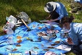 National soil judging competition