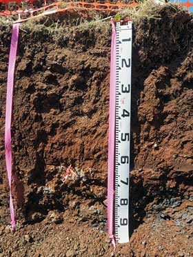 National soil judging competition