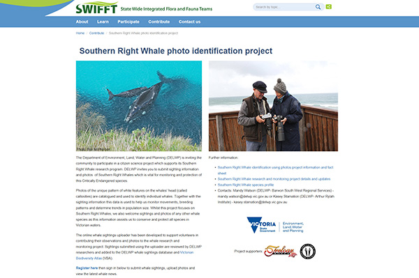 Southern Right Whale photo identification project - website portal