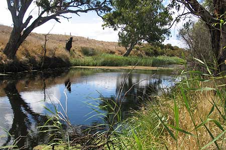 Streamlining Sustainability Reporting for Land Managers