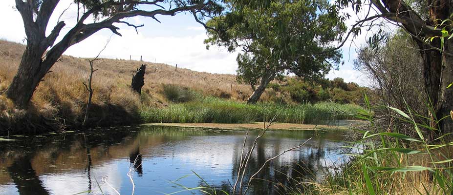 Streamlining Sustainability Reporting for Land Managers - banner