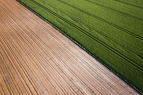 Supporting Climate-Ready Future for Central Highlands Agriculture