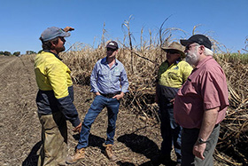 Turning data into trust: building Australia&rsquo;s soil knowledge future