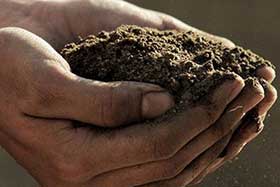 Soil-Stewardship and knowledge sharing project