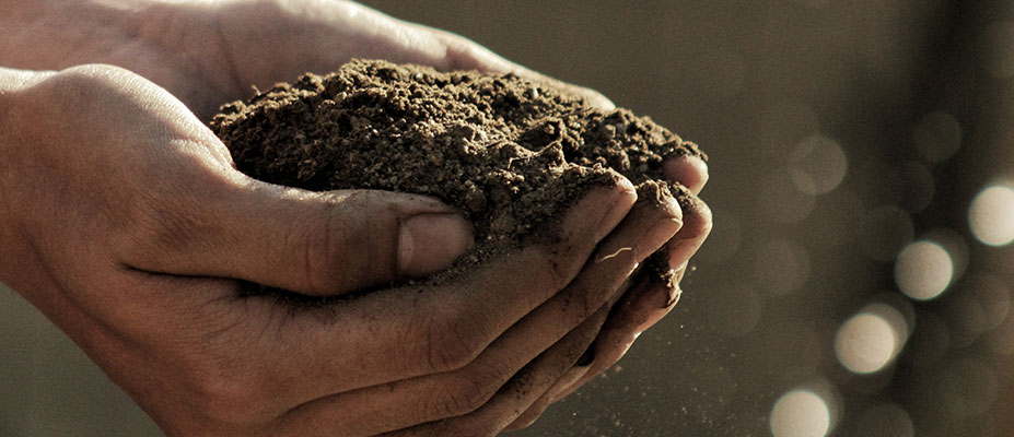 Visualising Australia’s Soils