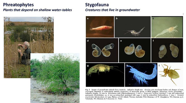 Why should we care about groundwater?